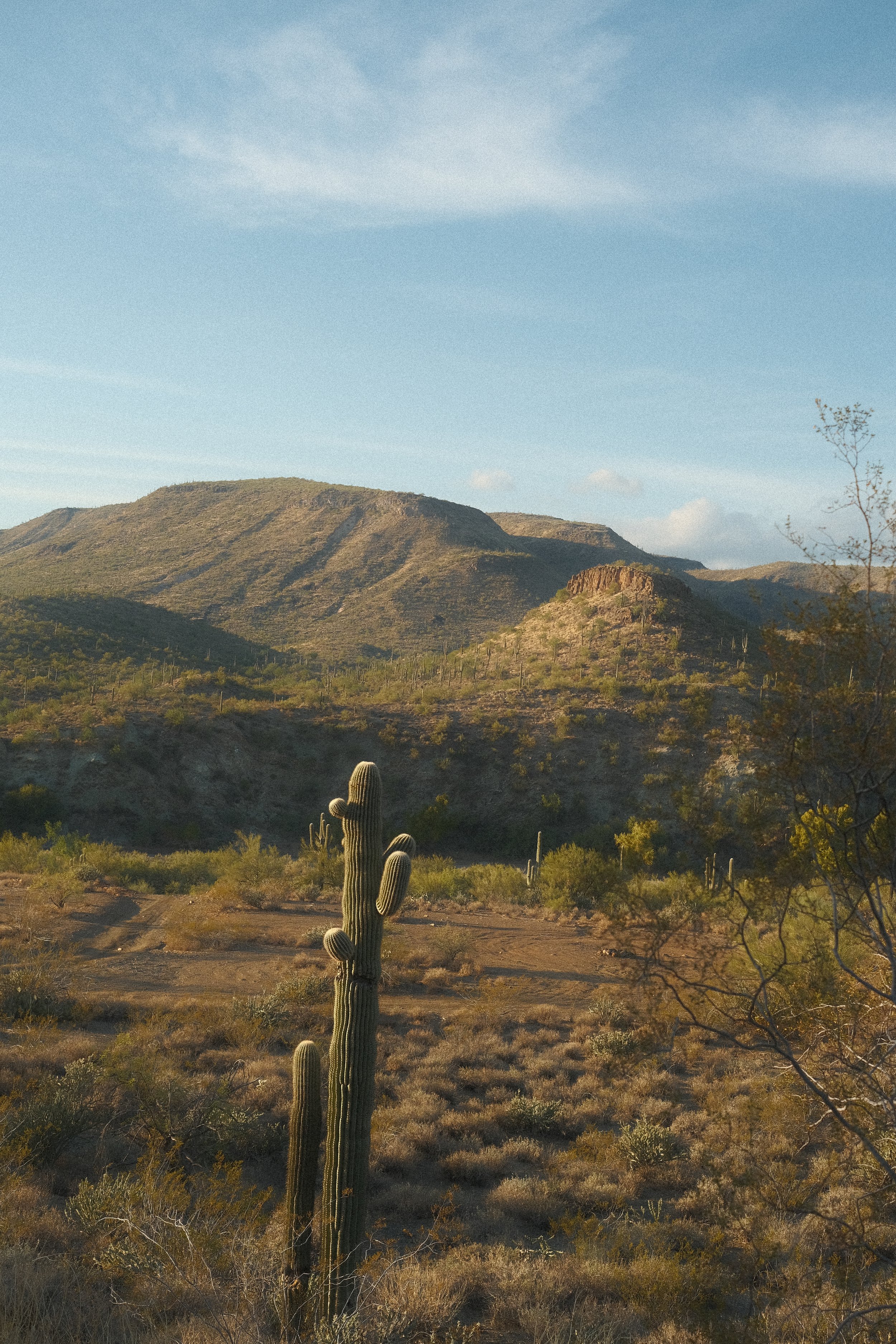 Morristown, Arizona